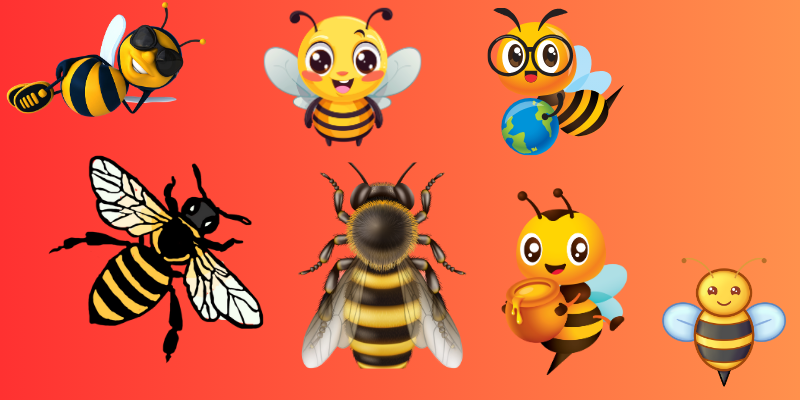Honey Bee Species